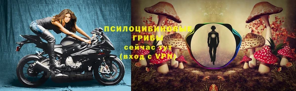 гидропоника Навашино