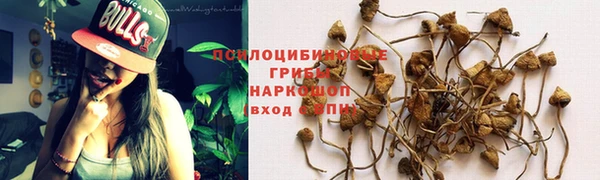 первитин Надым