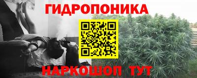 гидра Балашиха