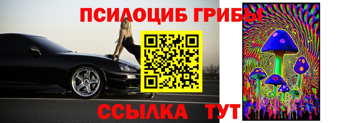 Псилоцибиновые грибы мицелий  Вход с VPN  Кимовск 